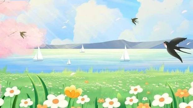 1714360253770030524621_350